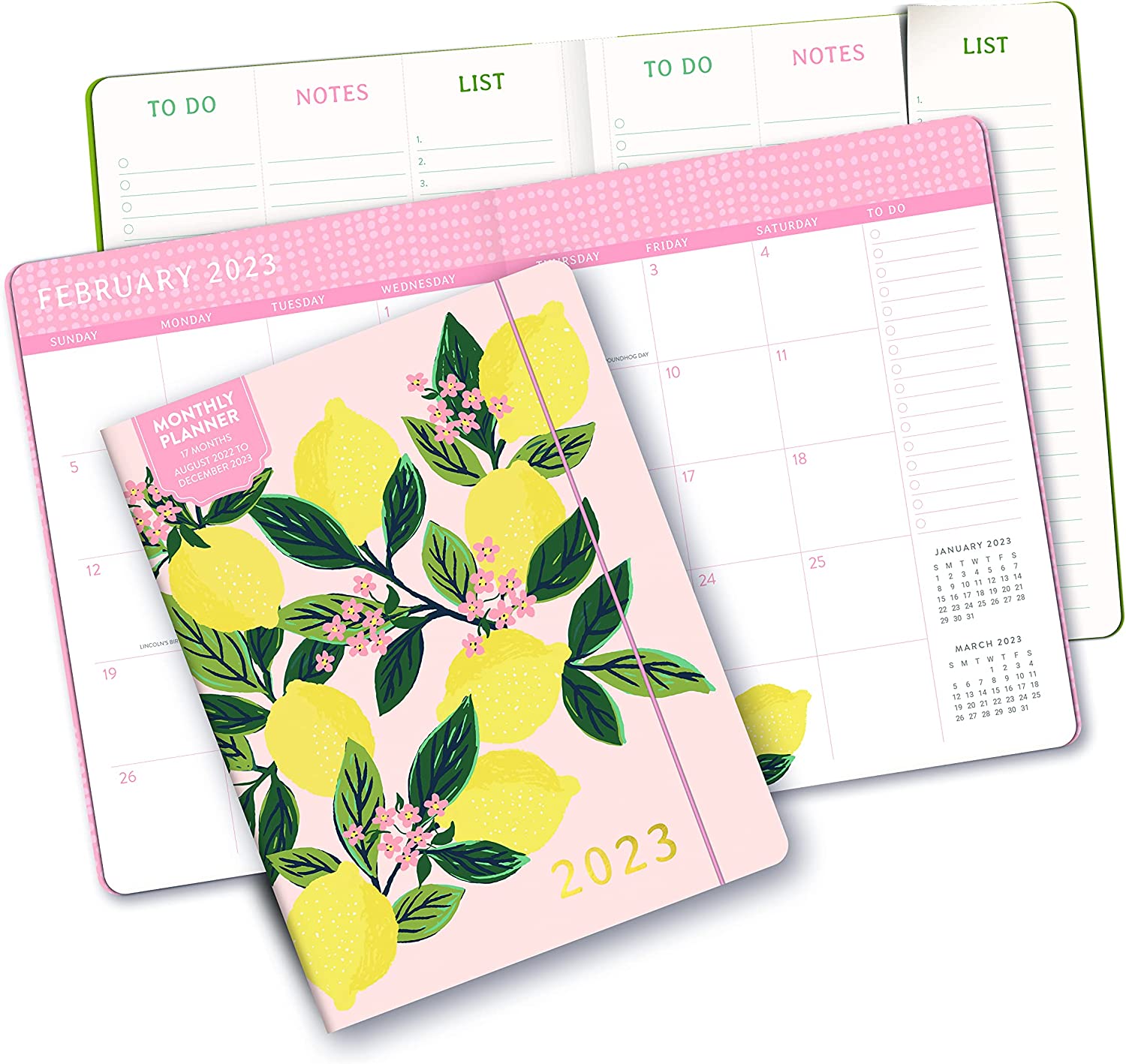 Orange Circle Studio Just Right 2022-2023 Monthly Planner - 17-Month Organizer with Full-Color Monthly Views, Storage Pocket & Elastic Closure - Lemon Tree - Image 3